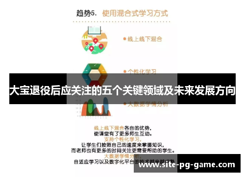 大宝退役后应关注的五个关键领域及未来发展方向 大宝退役后应关注的五个关键领域及未来发展方向