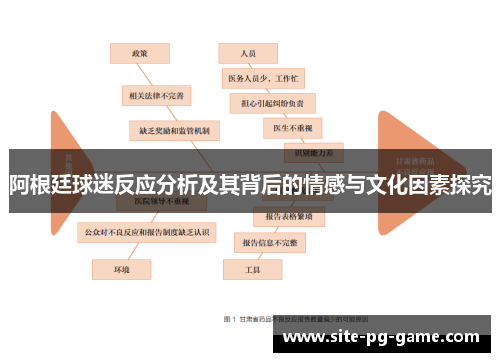 阿根廷球迷反应分析及其背后的情感与文化因素探究 阿根廷球迷反应分析及其背后的情感与文化因素探究