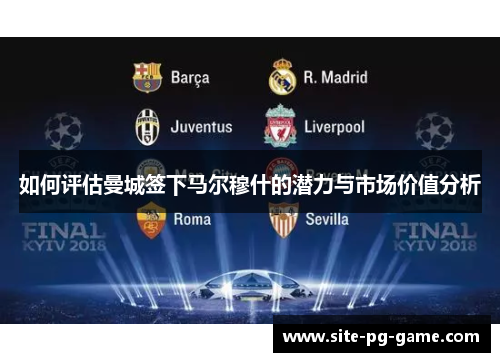 如何评估曼城签下马尔穆什的潜力与市场价值分析