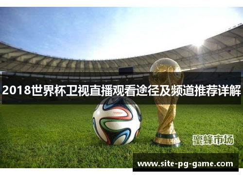 2018世界杯卫视直播观看途径及频道推荐详解